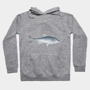 Humpback Chub Hoodie